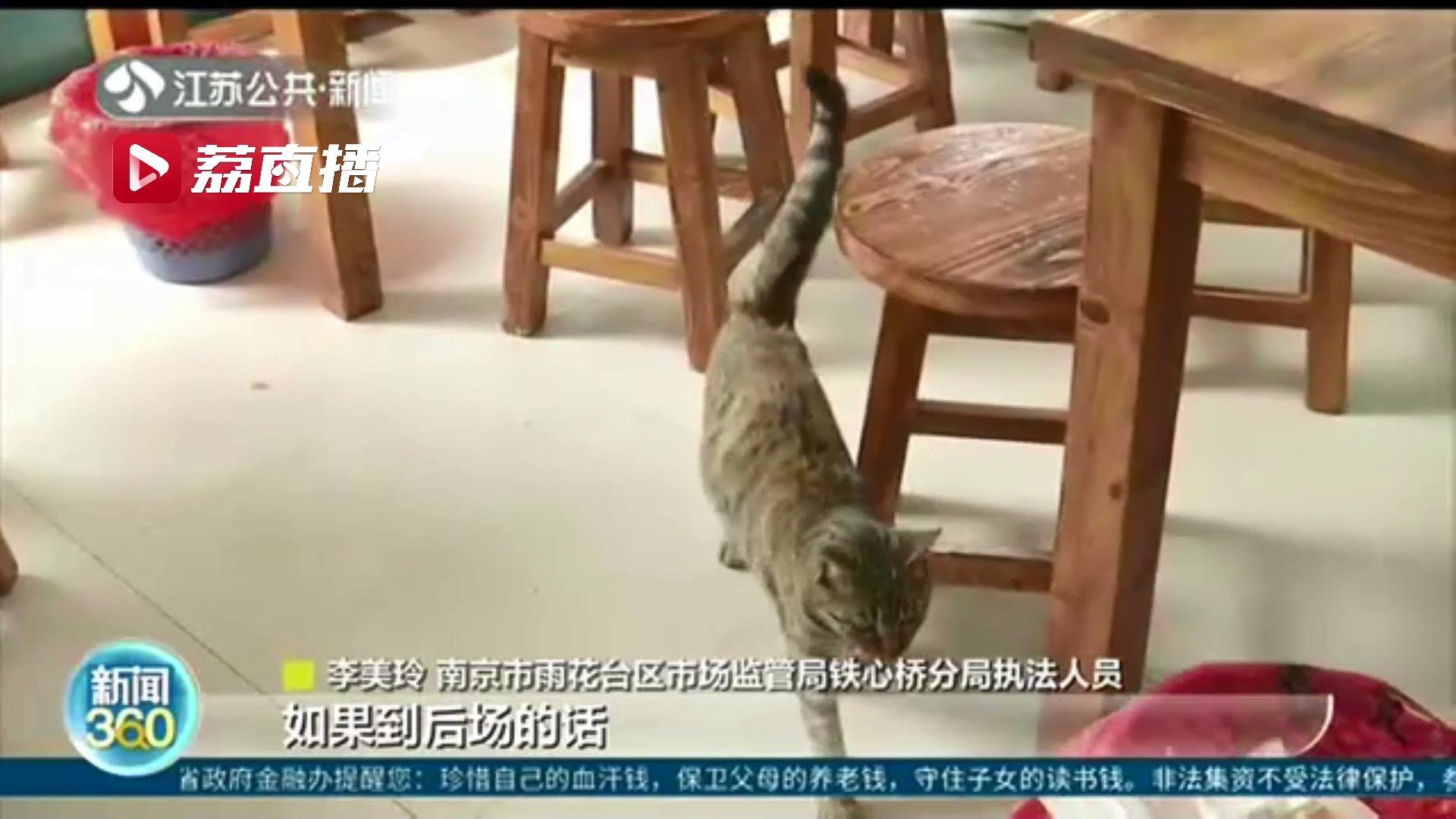票据不全、健康证过期、仓库杂乱…南京市场监管部门突击检查人气早餐店
