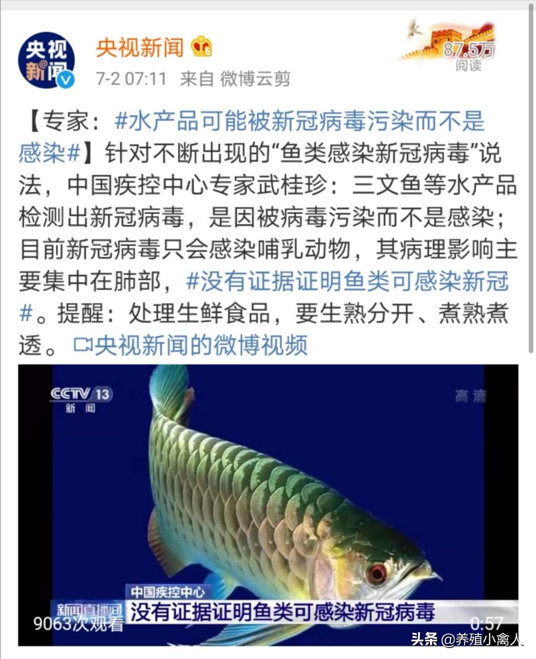 水产养殖户放心了，国家正式确认鱼不会感染新