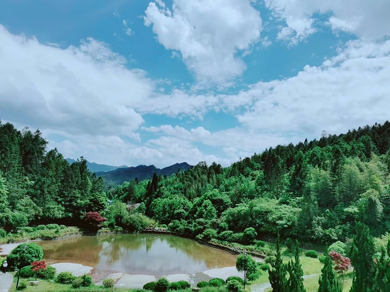 寻迹井冈山，重温红色历史，感受星火燎原的力量，弘扬井冈山精神