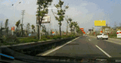 大河报汽车网