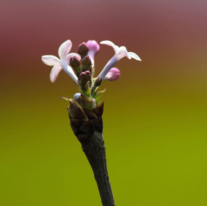 71岁老人说：人与人之间，不能看得太清楚，看得太清，你就败了