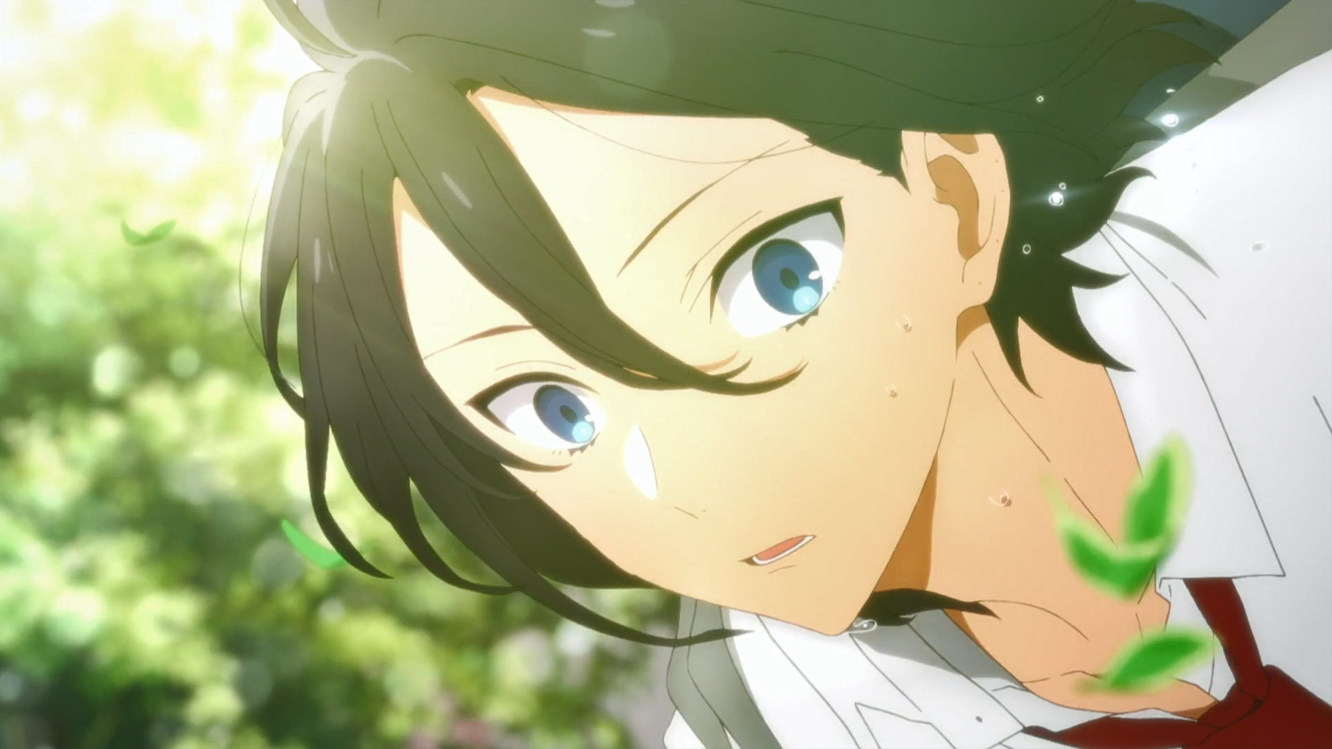 實至名歸 豆瓣9 2分 一月最能打戀愛番 堀與宮村 糖分滿溢 豹一愛動漫 Mdeditor