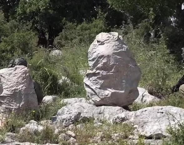 ��ɫ�����������������Ͼ���Ѹ�������������˶Դ˱�ʾ��Ľ����