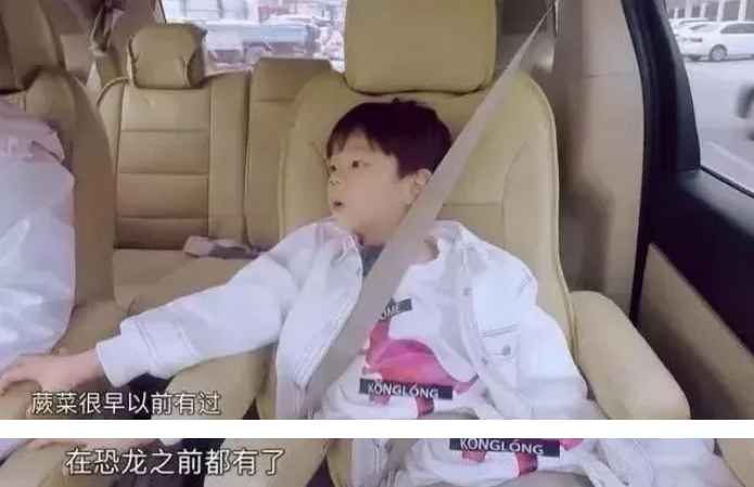 嗯哼4岁就懂飞机起飞原理！用百科书“喂大”的孩子，有多厉害？