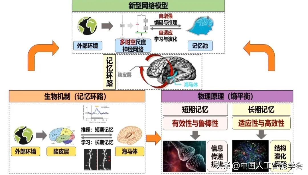 實錄丨戴瓊海：深度學習遭遇瓶頸，全腦觀測啟發下一代AI演算法