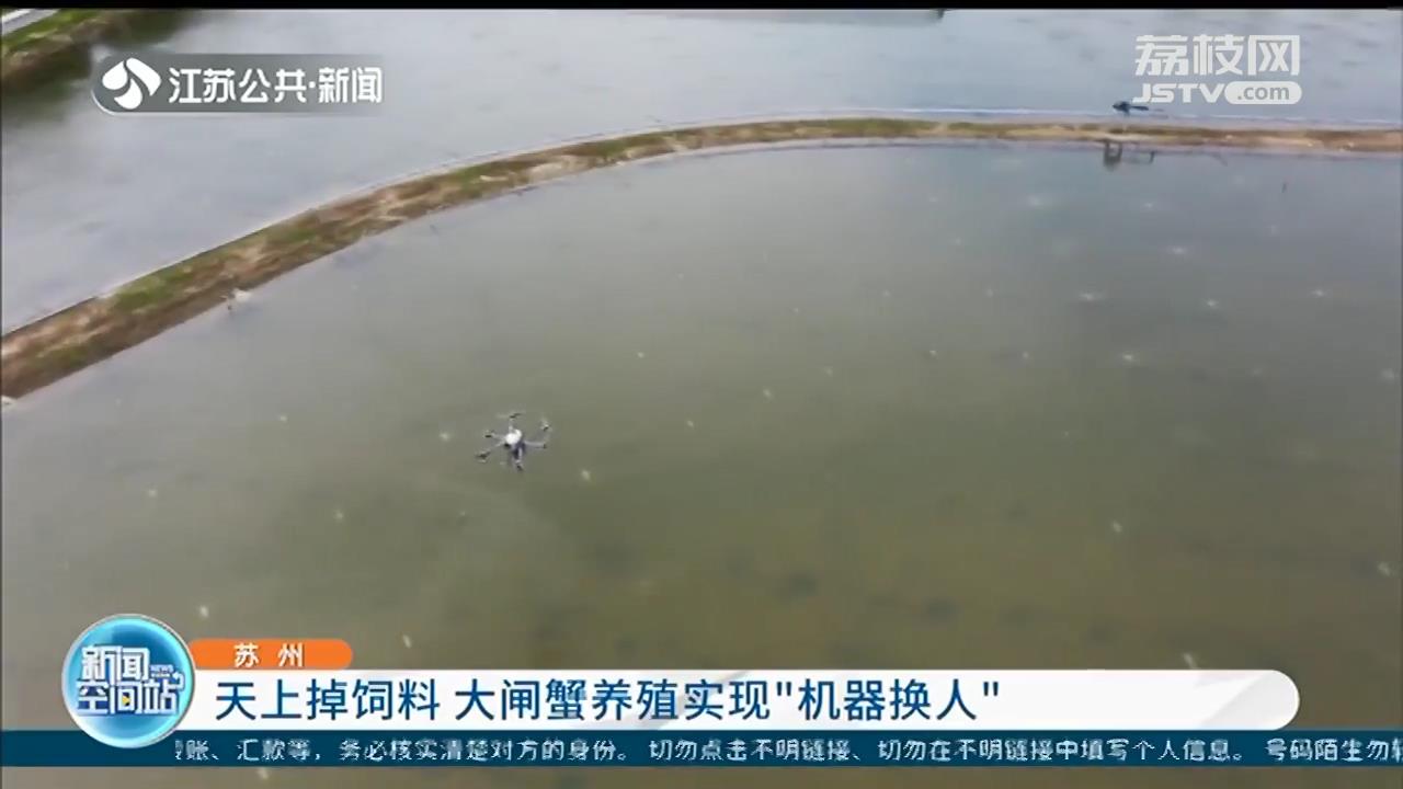 天上掉饲料！苏州大闸蟹养殖实现&ldquo;机器换人&rdquo;