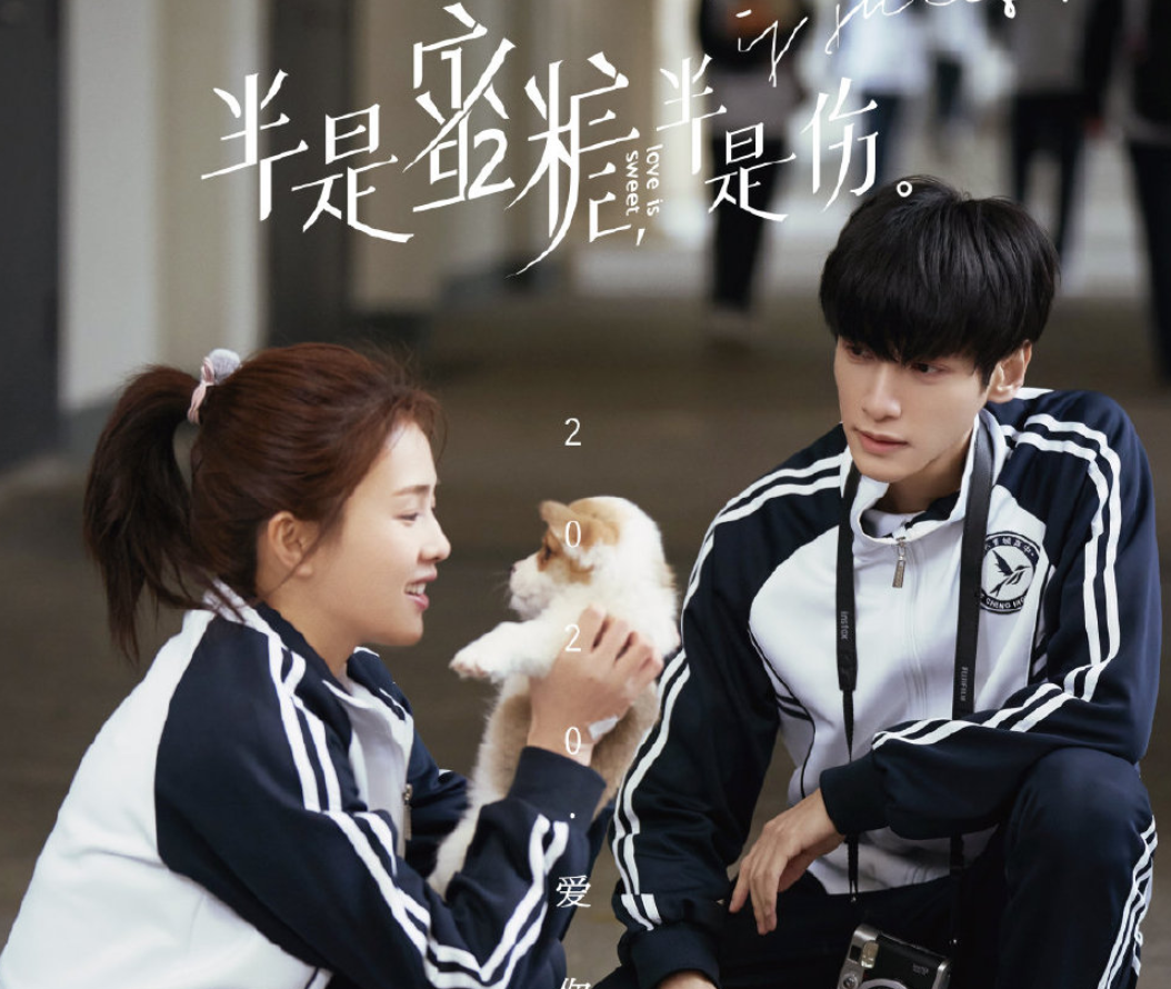 《半是蜜糖半是伤》预告，罗云熙白鹿高甜互动，光看画面就姨母笑