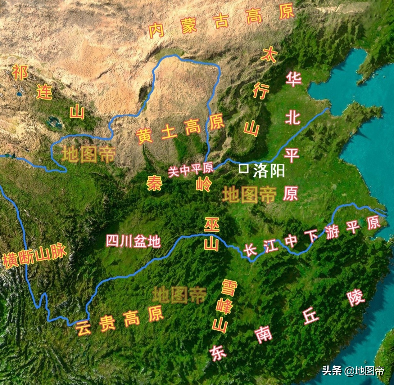 ơƳʲôϵ