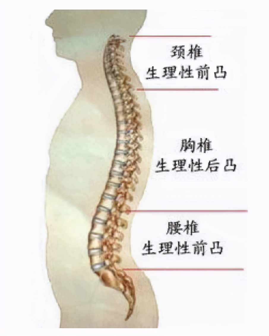 快來測一測專家教你4個方法鑑別孩子有沒有脊柱側彎