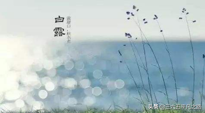 今日白露，“露从今夜白”，白露是什么意思？热不热了？答案来了
