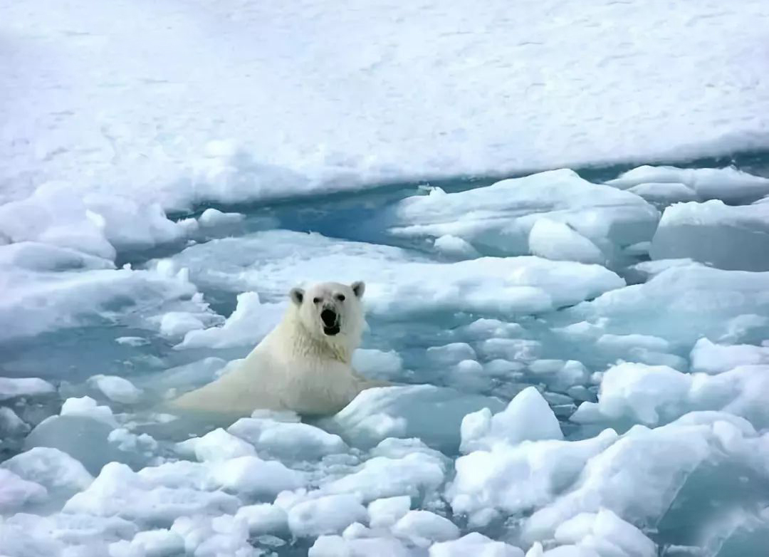 ​如果30年後海平麵上漲66米，我國哪些一線城市會成為水下世界？