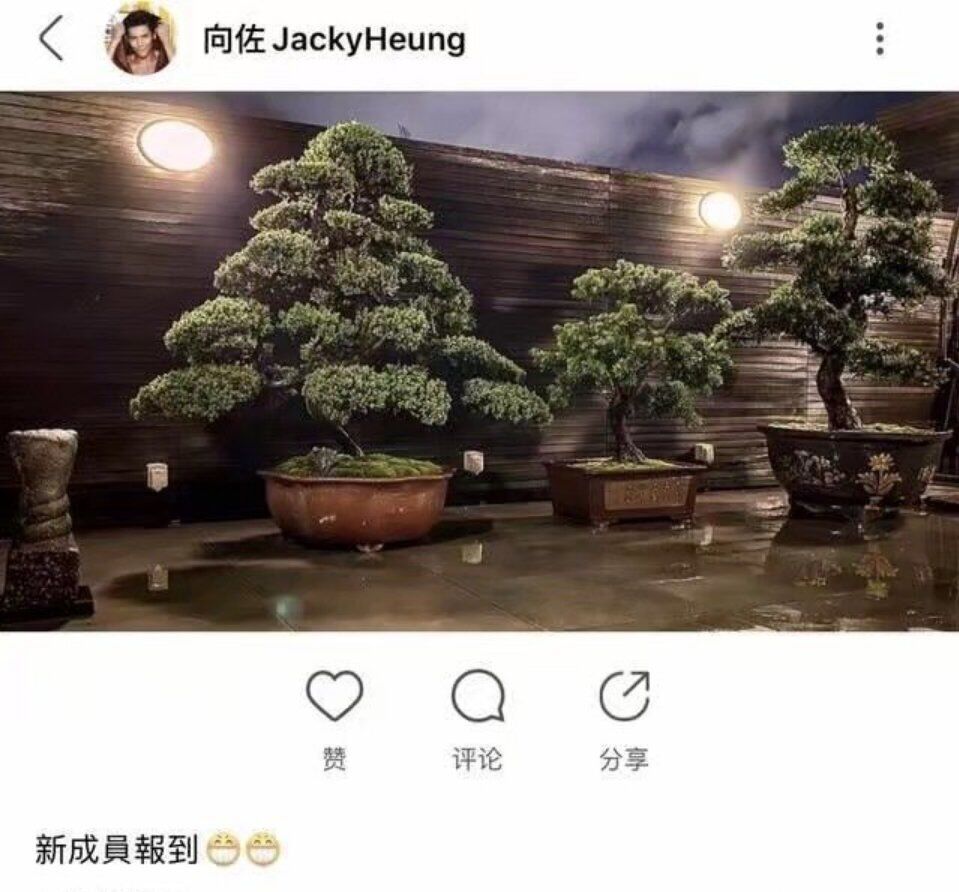 向佐发文称“新成员加入”，疑指郭碧婷怀孕，婆婆这态度耐人寻味