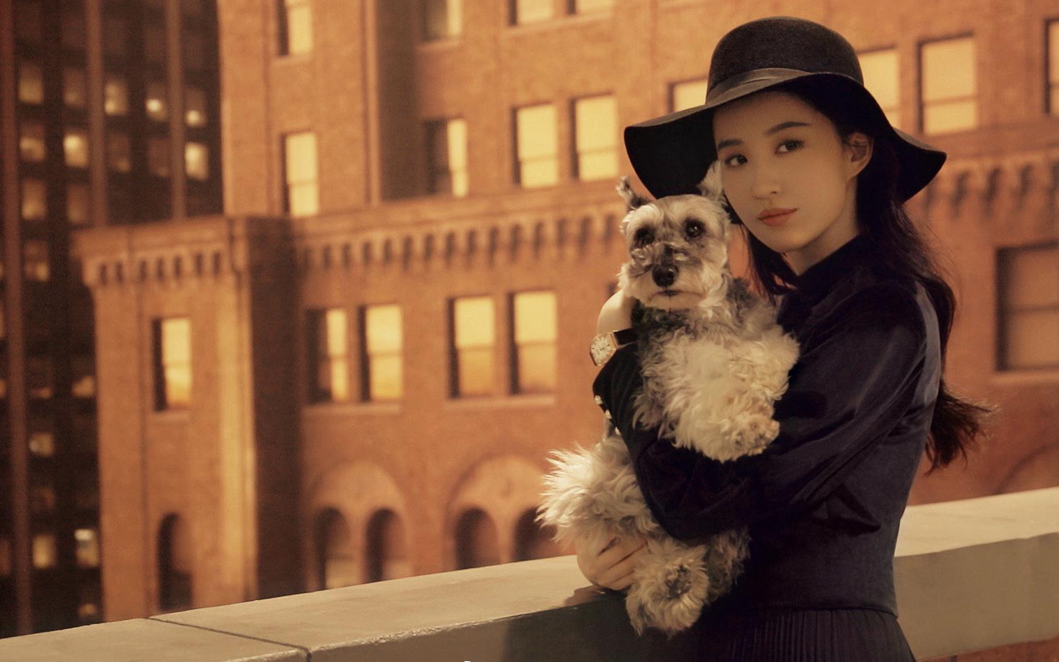 Liu Yifei hugged a puppy to shoot a blockbuster commercial, velvet shape with a top hat, noble temperament and beauty into a wealthy daughter
