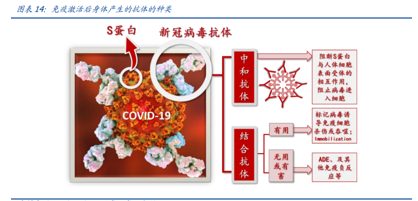 君实生物：PD1+中和抗体双驱动，厚积薄发Biotech新星
