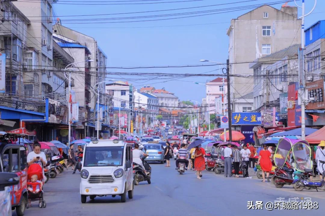 这里是,杨店