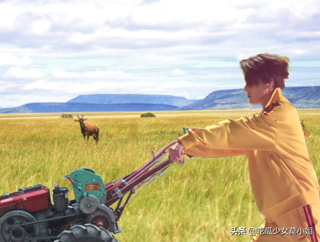 浪姐|张馨予立新人设浪姐2首秀上演反差萌 与李菲儿互动被吐槽油腻