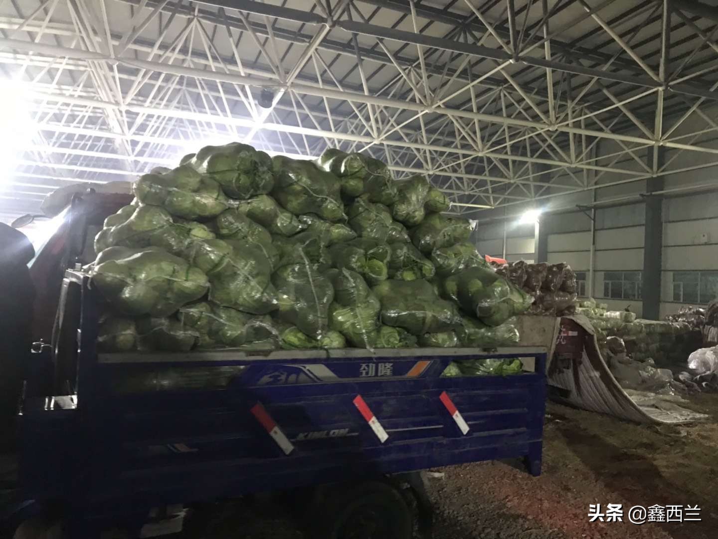 电商老炮对疫情过后，蔬菜产业发展的一些看法