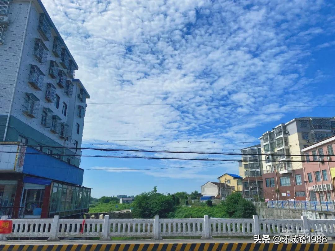 这里是,杨店