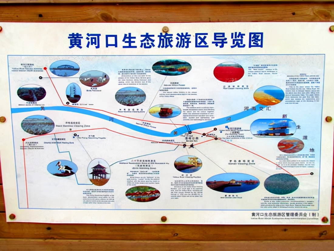 山东旅游：探寻黄河流入大海记（图）