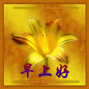 温馨的早安祝福语 早安问候语大全图片