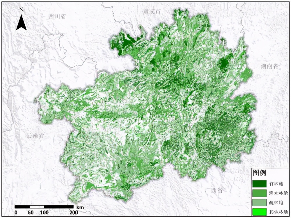 消失20年！贵州再次发现中国特有植物富宁藤，重现意味着什么？
