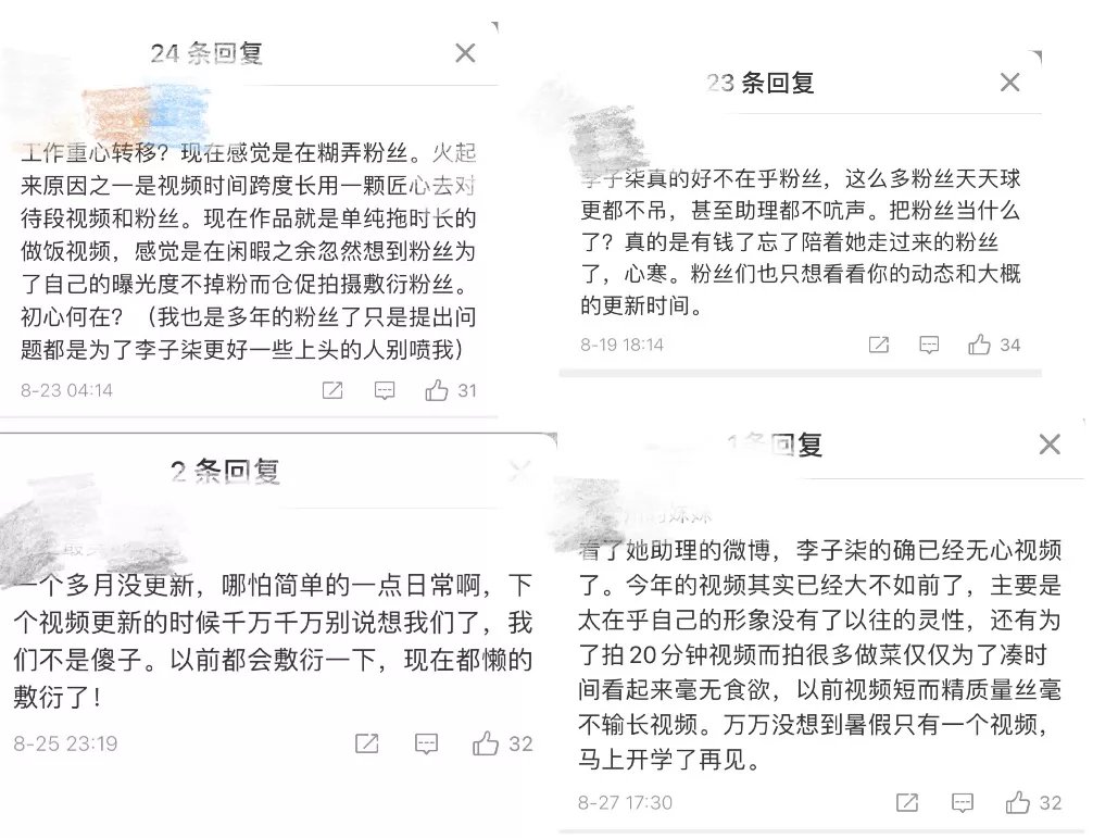 断更的&ldquo;李子柒&rdquo;，心慌的李佳佳