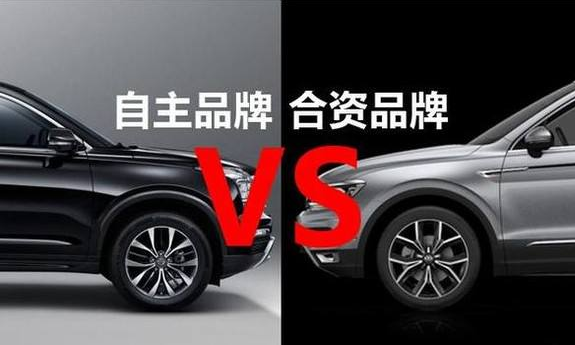 人生第一辆车，自主品牌与合资品牌该怎么选？