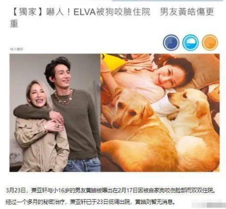 41岁萧亚轩疑添新伤！晒照膝盖大片红肿淤青，刚被狗咬伤还未痊愈