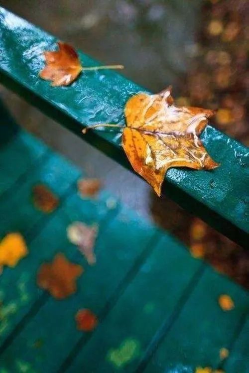李清照笔下的秋天，有愁苦、有相思、有怀旧-第3张图片-非凡网