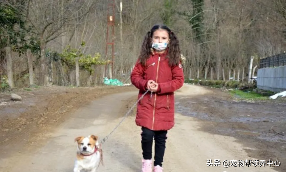 8岁小女孩背爱犬在雪地走3公里只为找一个特别的