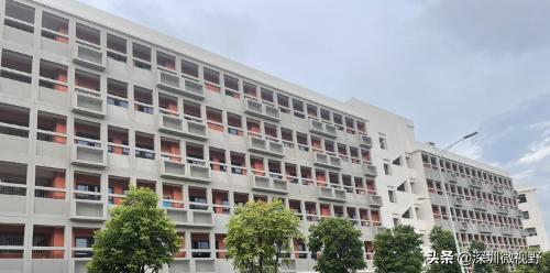 龙岗区13所新改扩建学校交付,坂田成大赢家(图7)