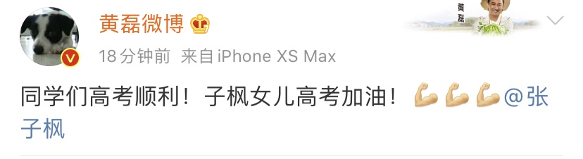 北电高考成绩出炉，张子枫第三，最大赢家是《小欢喜》的男主
