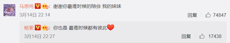 杨紫，你别怂啊