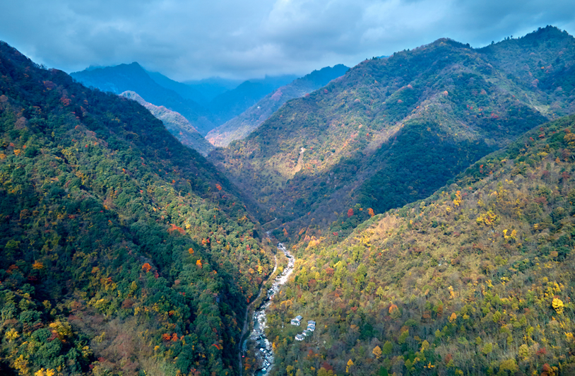 四川|媲美光雾山！平武这条沟，藏着一个惊艳的彩林秘境！