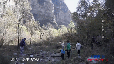 豆瓣9.4，全程揪心，6000万人的噩梦，终于被央视