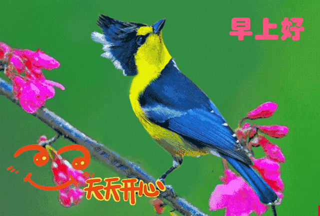 十三|2021年正月十三早上好问候语图片大全 2021最美早上好动态表情图片