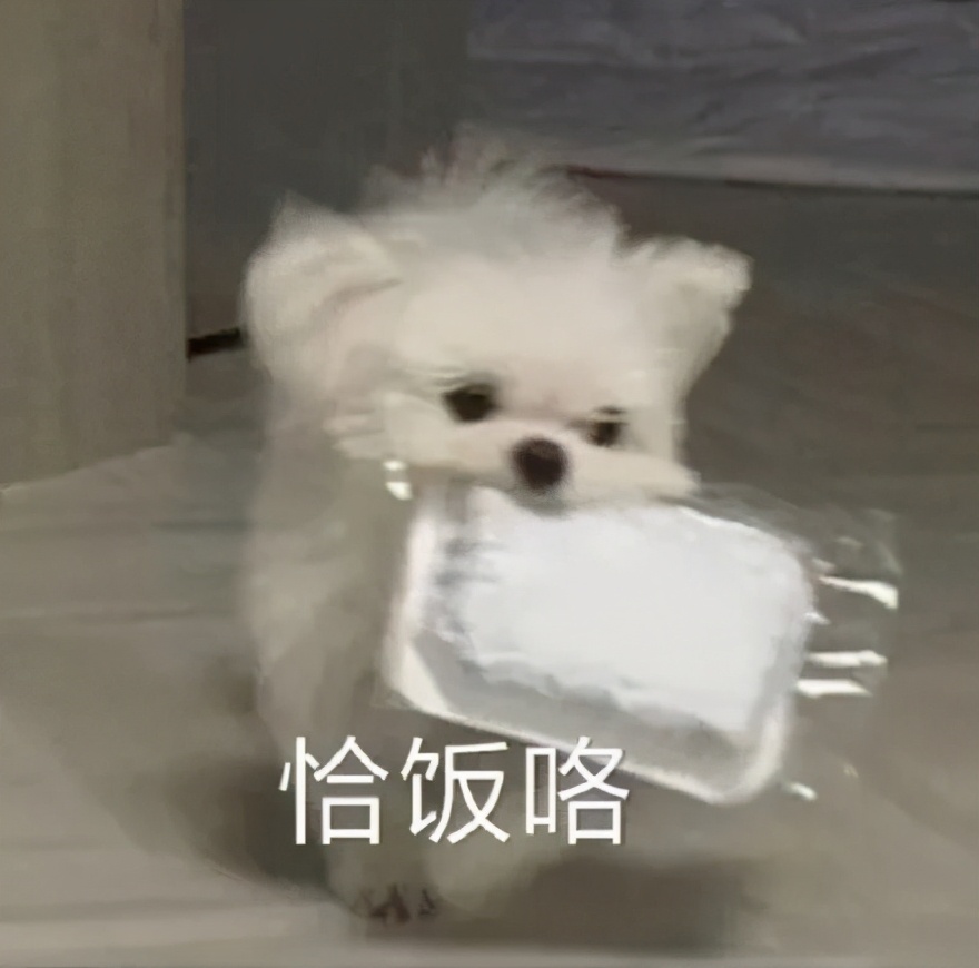 Special expression hires person of 12.18 Piao cooked rice, which have the boy or girl friend cooked rice is aromatic