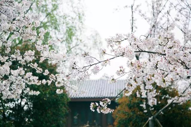武汉原来有那么多免费的景点！还都在地铁边上