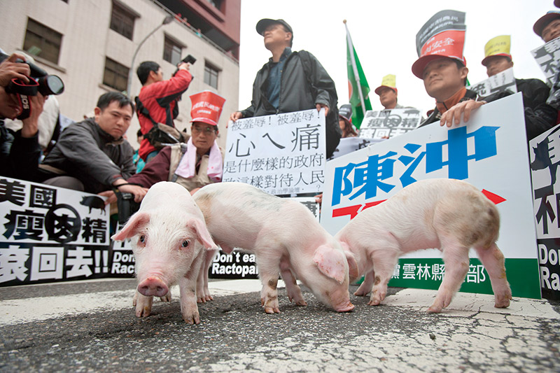是獨裁還是專權？ 元旦起台灣正式開放美豬進口，蔡英文聲稱用"最謙卑的心情"換取民眾體諒