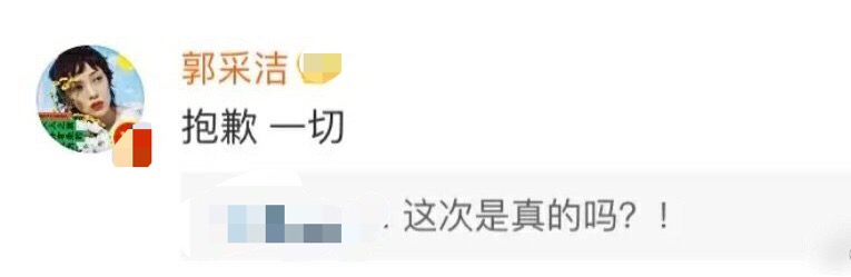郭采洁向素人道歉，因恶评挂其照片引发网暴，明星有权利维护自己