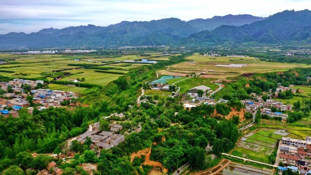 袁家村之后，陕西又出了一个全新标杆农文旅项目——唐村