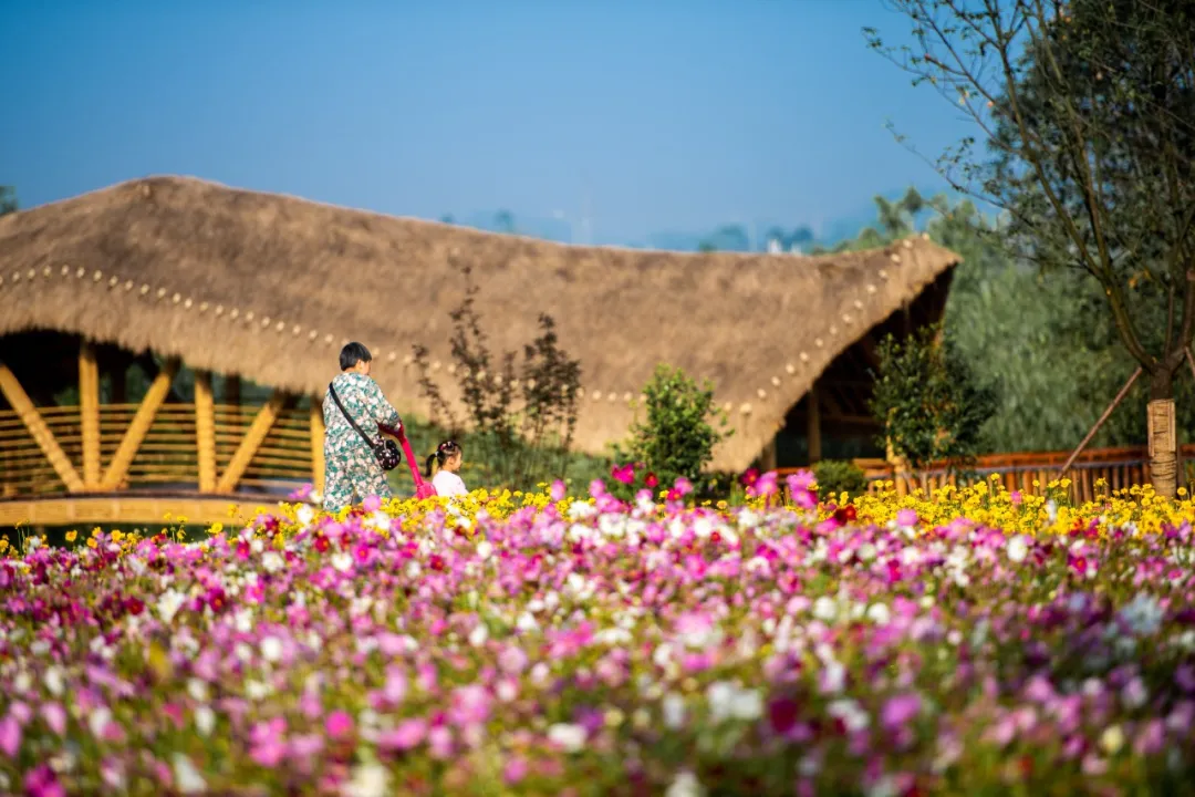 铜梁.龙乡绿道:在巴岳玄天下延展超级步行重庆的新可能性