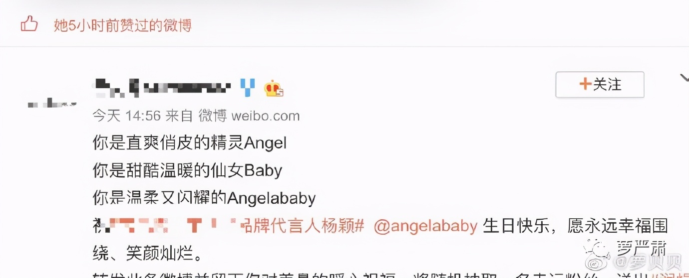 黄晓明和Angelababy如何从恩爱夫妻走到这一步？-第48张图片-大千世界