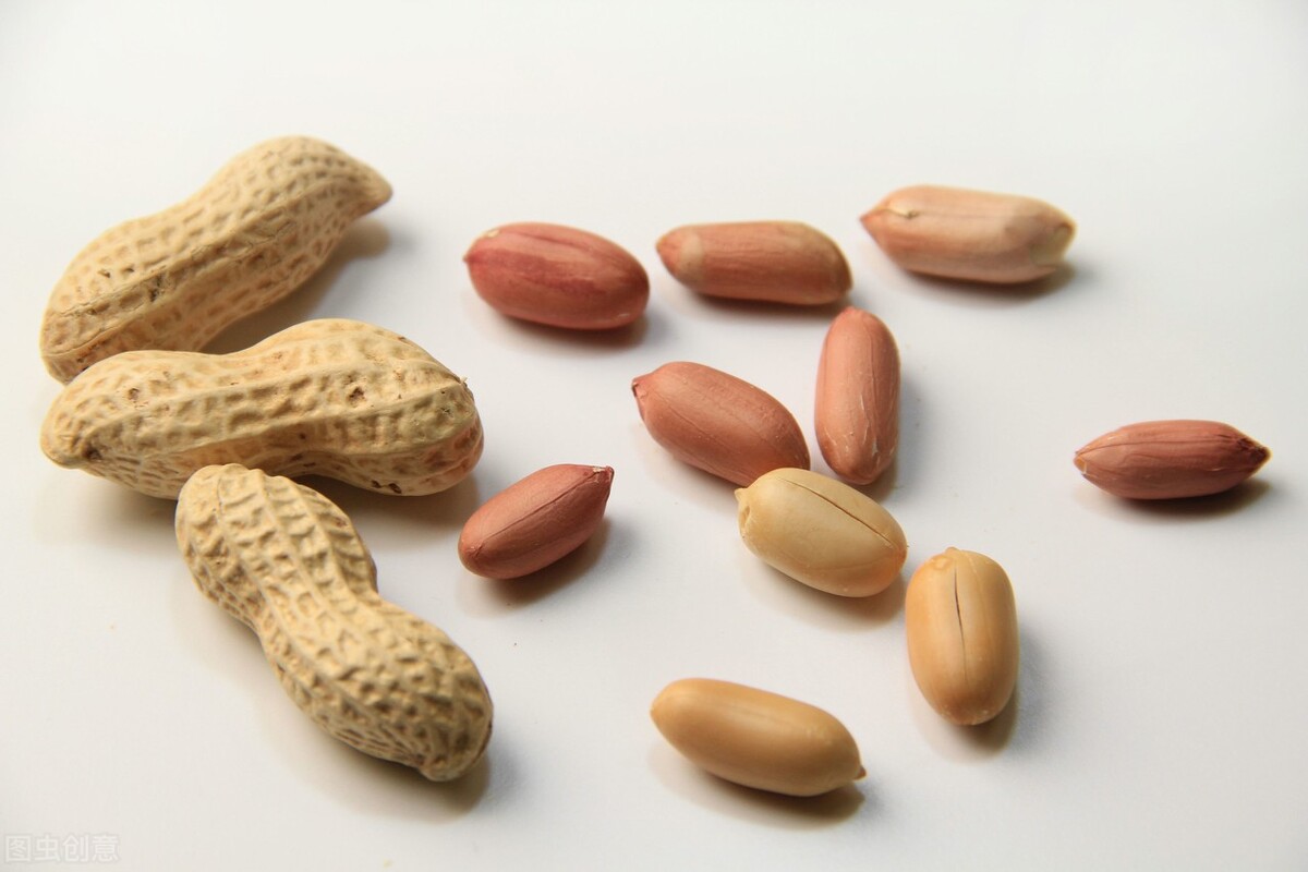 ——花生期货品种