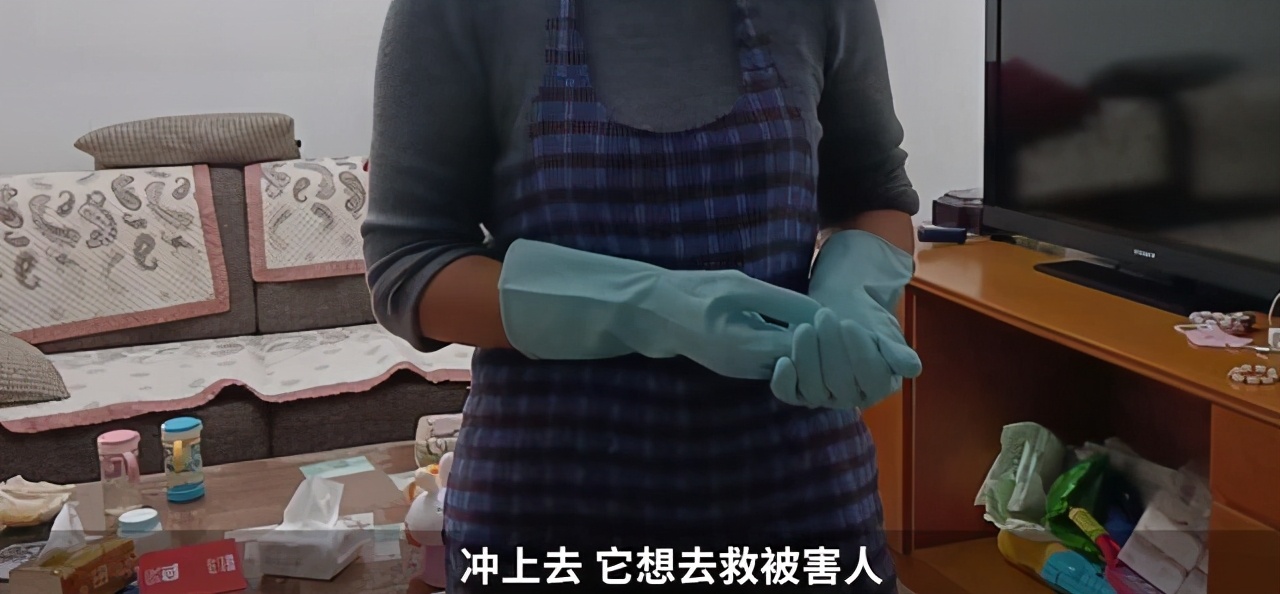 焚尸：上海杀妻焚尸案爱犬救主冲入火海 有的人……不如一条狗有人情味