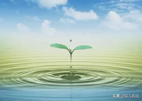 山西启动黄河（汾河）流域违法排污专项执法清