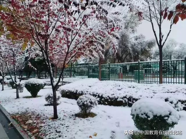 甘肃初雪|甘肃18所高校初学雪景大PK,快来看看有你的母校没?