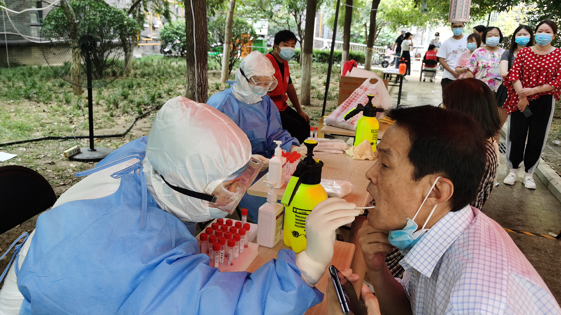 核酸检测48小时是怎么算的(权威解答核酸检测结果)