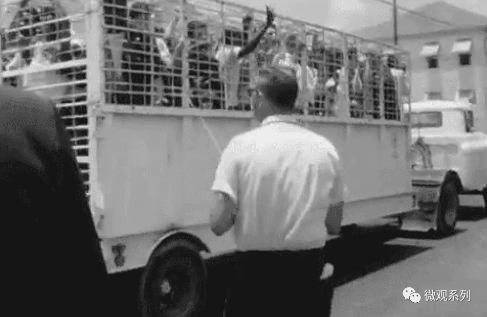 冲突、暴乱、大选，今天的美国像极了1968那个动