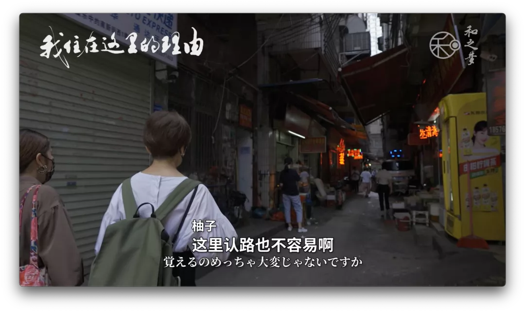 54岁不结婚不生孩子,她在中国的自由生活